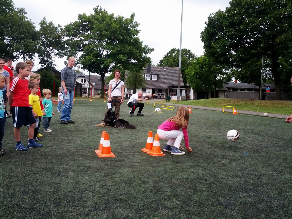 small-IMG_20130720_112028.jpg