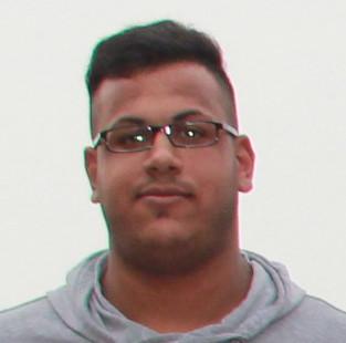 Ugur Arat 2012